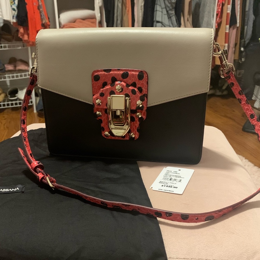 Dolce & Gabbana stunning bag